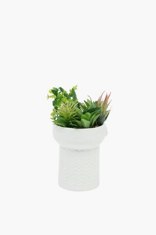 Ceramic Potted Multi-agave, 18cm