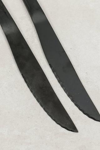 2 Pack Brushed Steak Knife Set