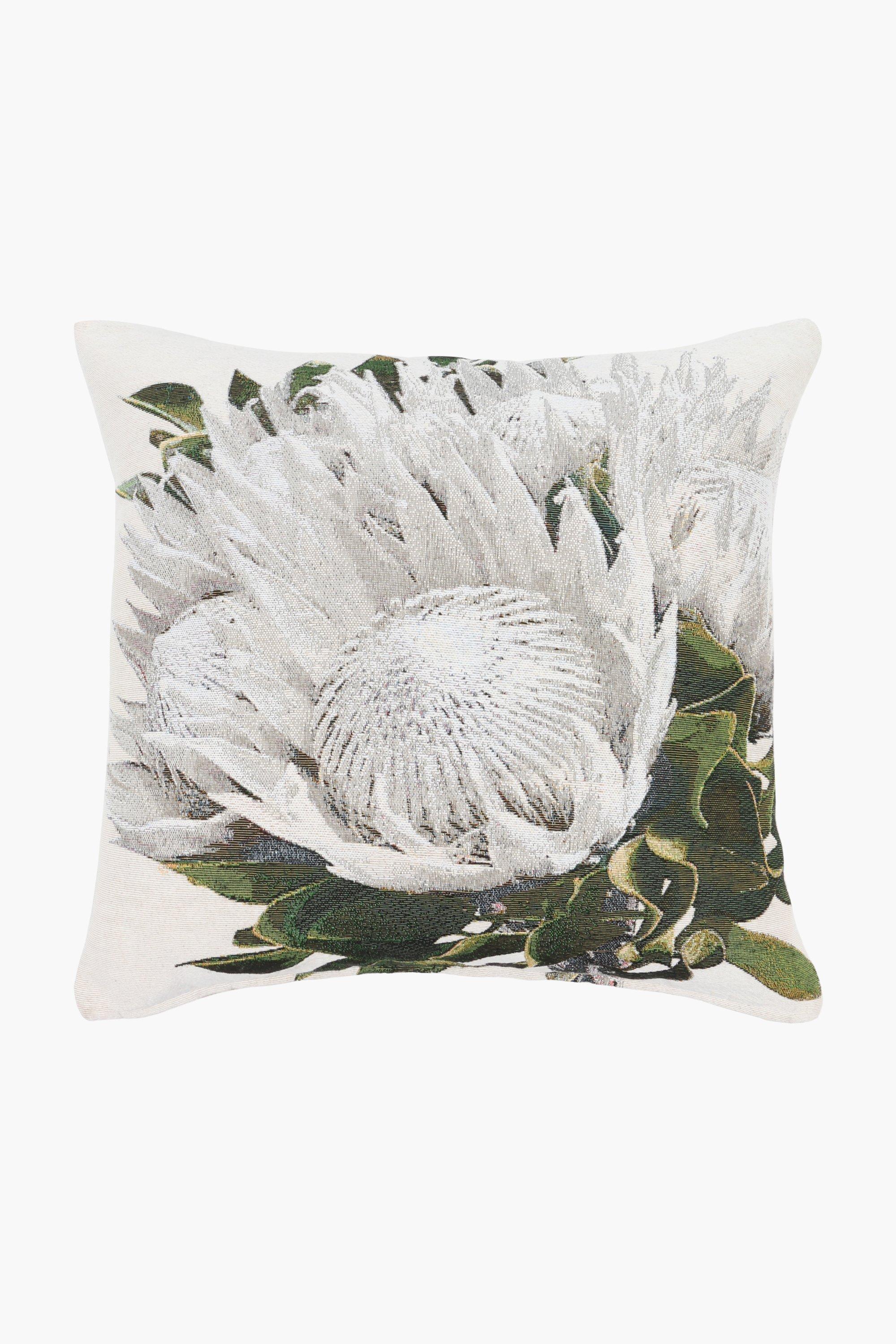 Protea scatter cushions online