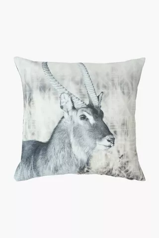 Printed Waterbuck Scatter Cushion, 50x50cm