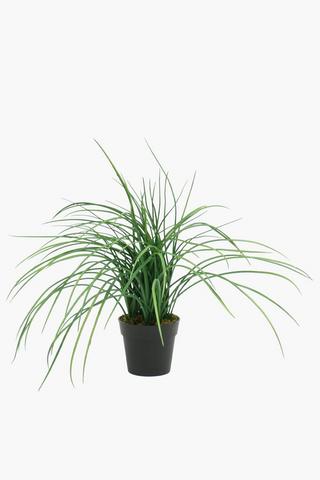 Potted Grass, 40cm