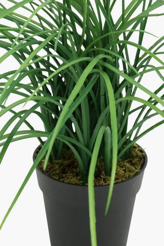 Potted Grass, 40cm