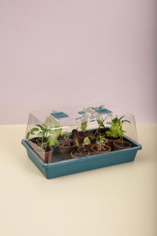 Good Roots Propagator