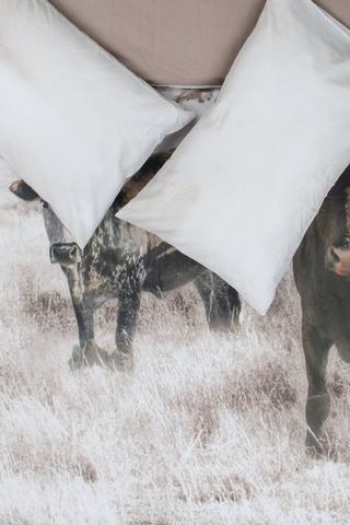 Polycotton Photographic Nguni Duvet Cover Set