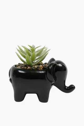 Indlovu Pot Succulent, 13cm
