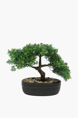 Bonsai Potted Plant, 34x20cm
