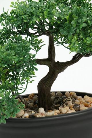 Bonsai Potted Plant, 34x20cm