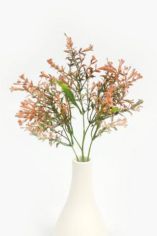 Waxflower Single Stem, 62cm