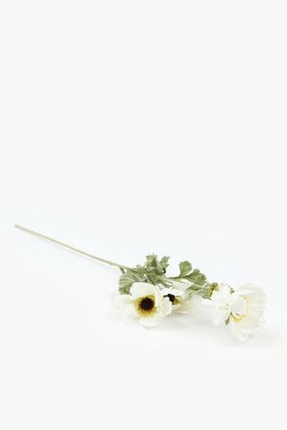 Wild Cosmos Single Stem, 78cm