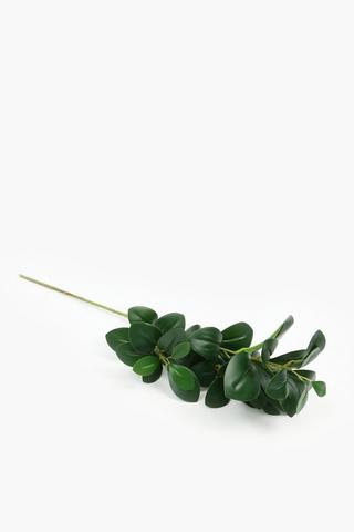 Evergreen Single Stem, 70cm