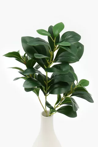 Evergreen Single Stem, 70cm