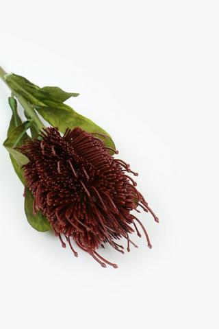 Banksia Single Stem, 64cm