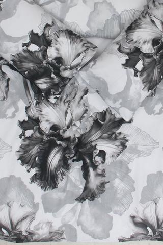 Premium Cotton Printed Monochrome Classic Duvet Cover Set