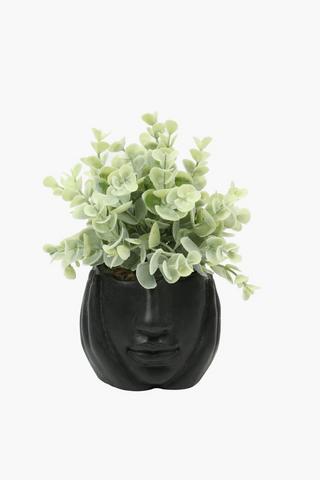 Leafy Thought Plant, 8x21cm