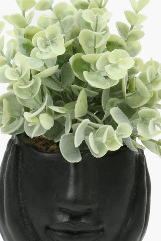 Leafy Thought Plant, 8x21cm