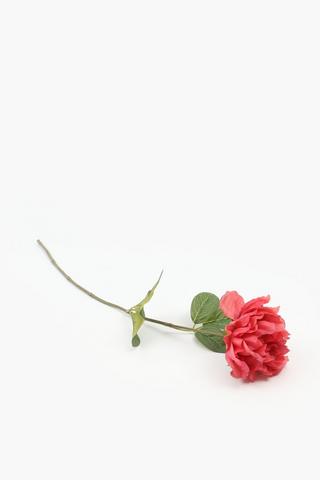 Ruby Rose Single Stem, 70cm