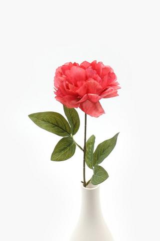Ruby Rose Single Stem, 70cm