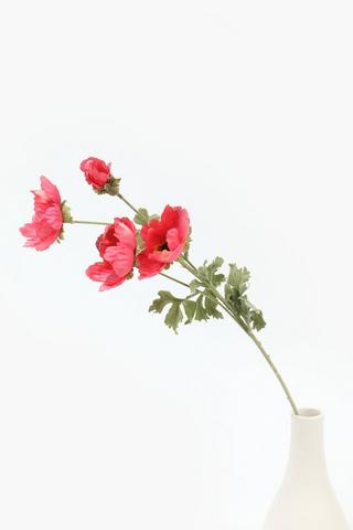 Wild Cosmos Single Stem, 78cm