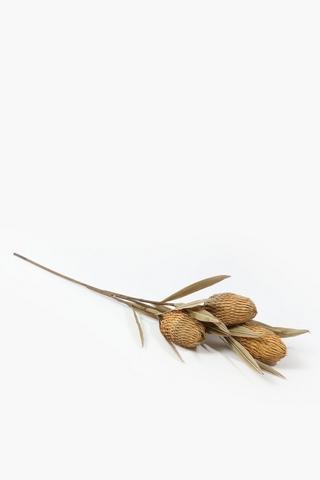 Banksia Single Stem, 100cm