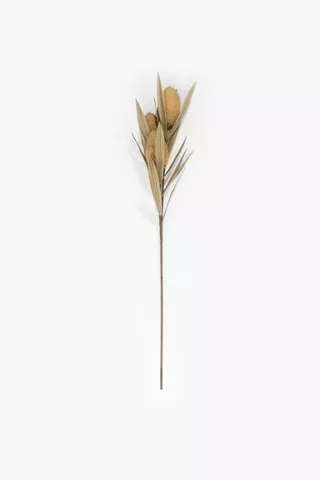 Banksia Single Stem, 100cm