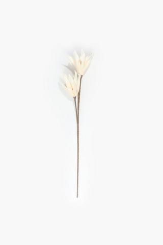 White Star Single Stem, 100cm