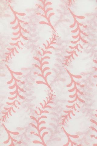 Sugarbird Tissue Paper