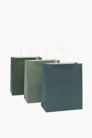 6 Pack Plain Gift Bags Medium