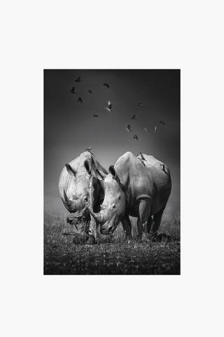 Rhino Bird Mono Canvas, 40x60cm