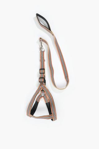 Pet Leash Harness Medium