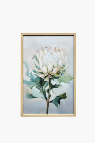 Framed Dove Protea, 40x60cm