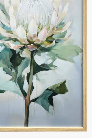 Framed Dove Protea, 40x60cm