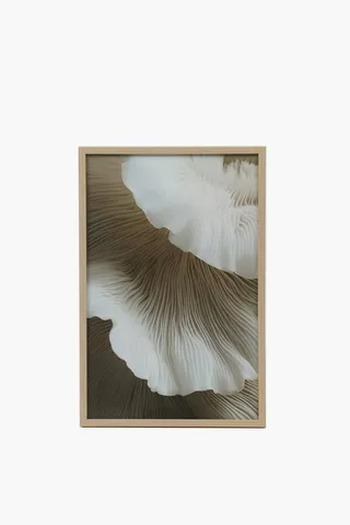 Framed Mushroom, 40x60cm
