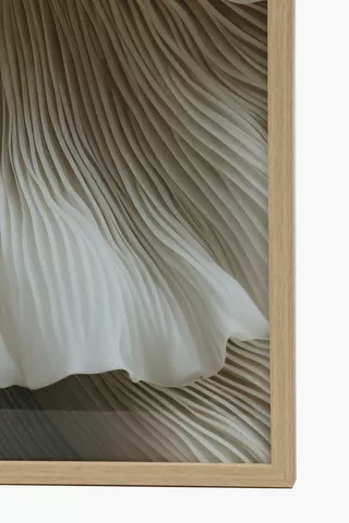 Framed Mushroom, 40x60cm