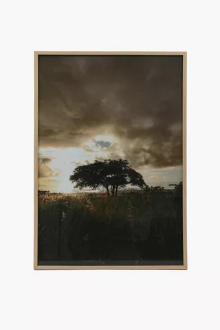 Framed Wild Sunset, 60x90cm