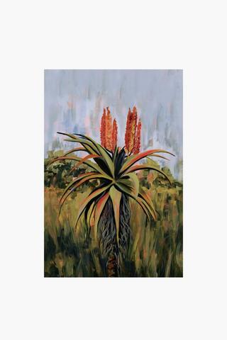 Redwing Aloe Canvas, 60x90cm
