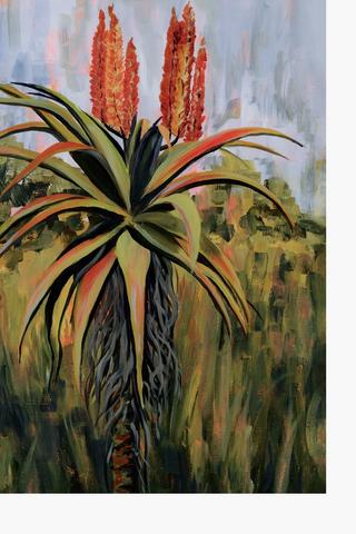 Redwing Aloe Canvas, 60x90cm