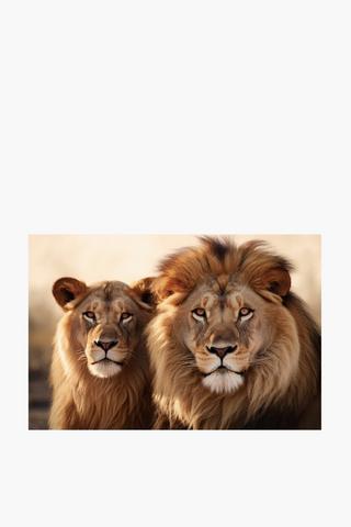 Lion Couple Canvas, 60x90cm