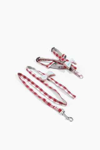 Pet Leash And Harness Small