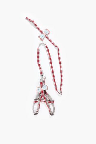 Pet Leash And Harness Small