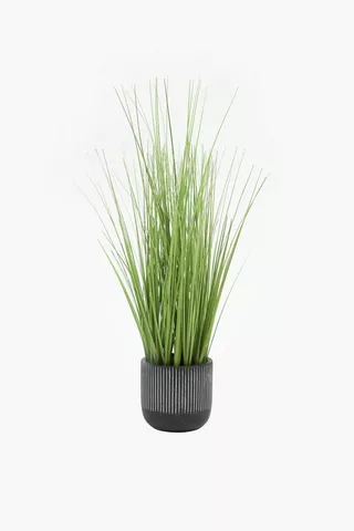Grass In Zebbie Pot, 48cm