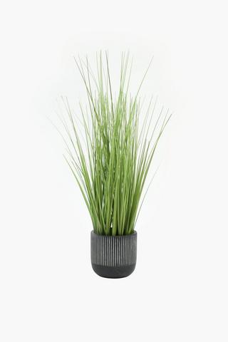 Grass In Zebbie Pot, 48cm