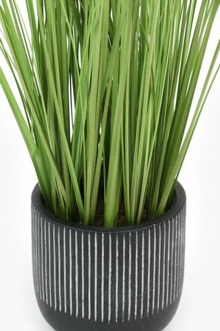 Grass In Zebbie Pot, 48cm