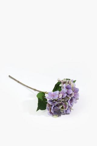 Hydrangea Single Stem, 45cm