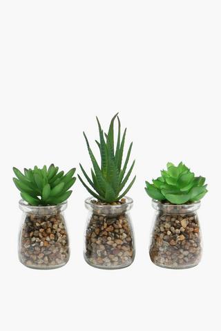 3 Piece Glass Jar Agave