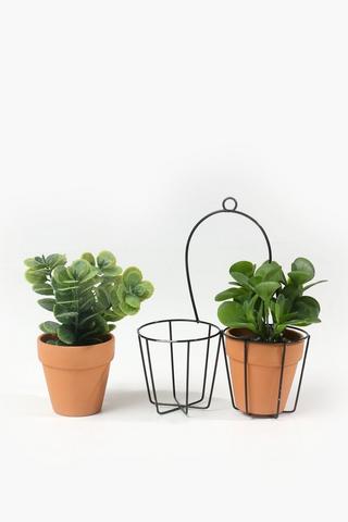 Twin Hanging Plants, 20x22cm