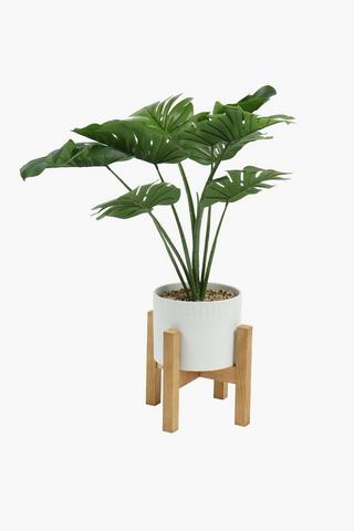 Standing Potted Rim Leaf, 77cm