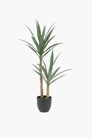 Twin Yucca Tree, 108cm