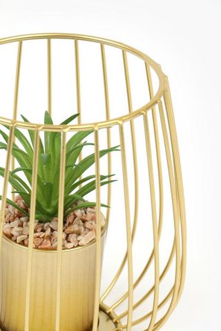 Wire Potted Succulent, 13x15cm