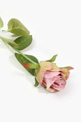 Vintage Peach Rose Single Stem, 45cm