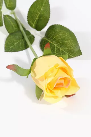 Rose Single Stem, 60cm